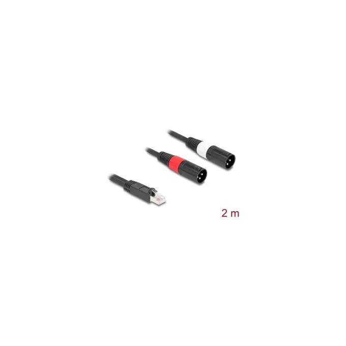 Delock Adapterkabel RJ45 Stecker zu 2 x XLR 3 Pin Stecker schwarz 2 m — image 2