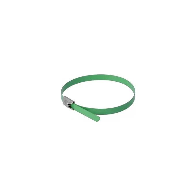 Delock Edelstahlkabelbinder L 500 x B 4.6 mm grün 10 Stück — image 1