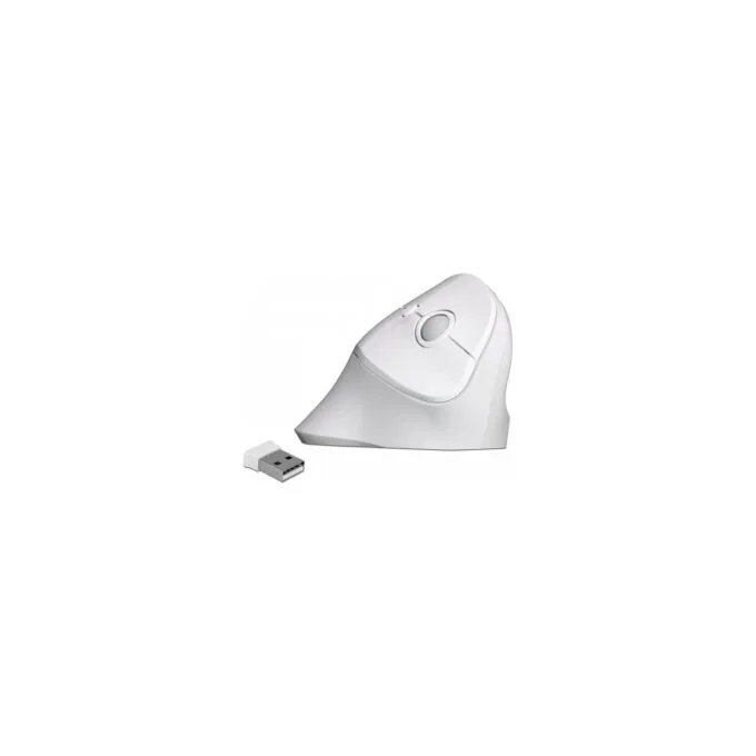 Delock Ergonomische USB Maus vertikal - kabellos — image 1