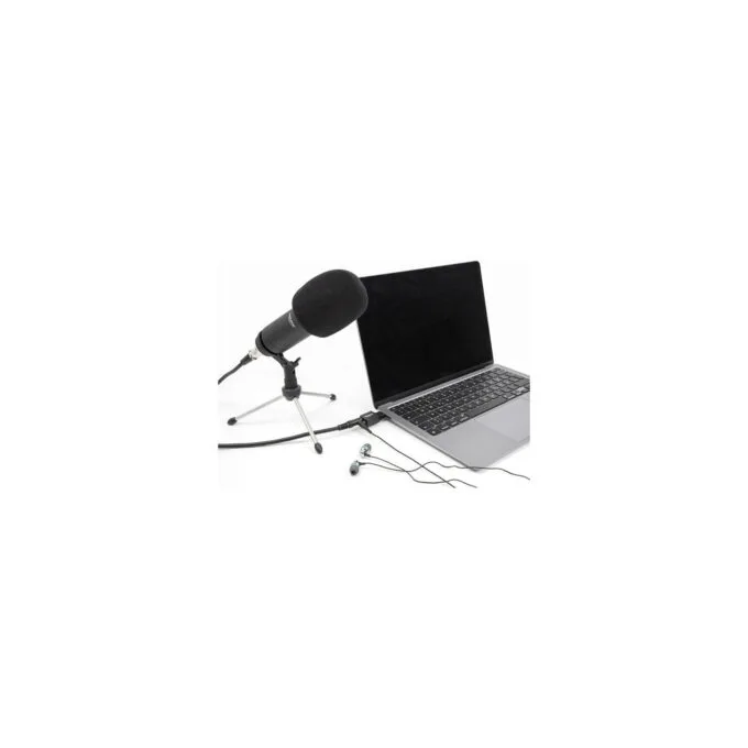 Delock Externe USB Soundkarte mit USB Type-CTM Stecker auf 2 x 3.5 mm Klinkenbuchse Plug & Play Audio Adapter schwarz — image 3