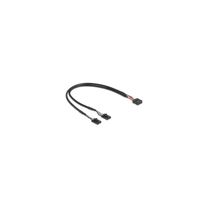 Delock Kabel USB 2.0 Pfostenbuchse 2.54 mm 10 Pin zu 2 x USB 2.0 Pfostenbuchse 2.54 mm 4 Pin 30 cm — image 1
