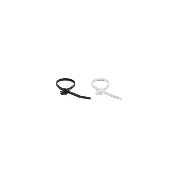 Delock Kabelbinder mit Lamellenfuß L 200 x B 4.8 mm 100 Stück — image 1