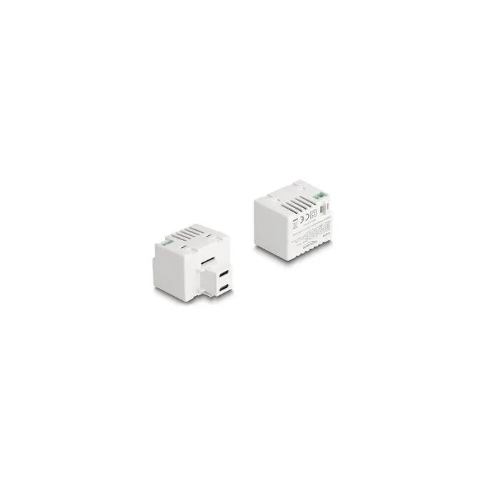 Delock Keystone Modul mit 2 x USB Type-CTM Ladebuchsen PD 20 W weiß — image 1