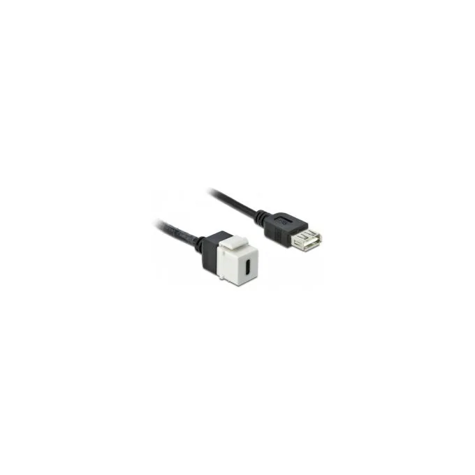 Delock Keystone Modul USB 2.0 C Buchse to USB 2.0 A Buchse mit Kabel — image 2