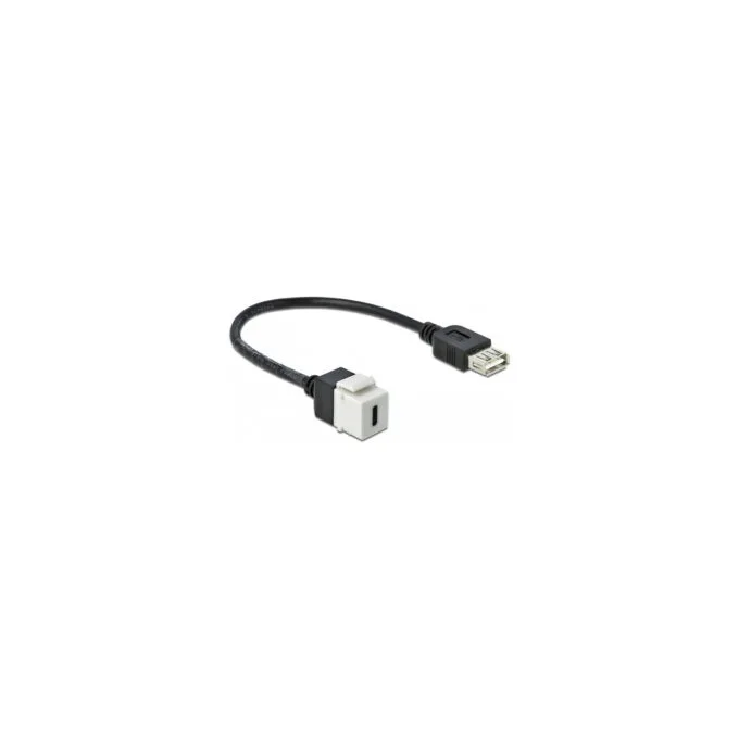 Delock Keystone Modul USB 2.0 C Buchse to USB 2.0 A Buchse mit Kabel — image 1