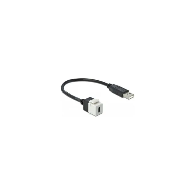 Delock Keystone Modul USB 2.0 C Buchse to USB 2.0 A Stecker mit Kabel — image 1