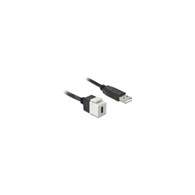 Delock Keystone Modul USB 2.0 C Buchse to USB 2.0 A Stecker mit Kabel — image 2