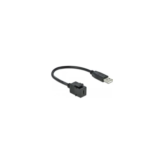 Delock Keystone Modul USB 2.0 C Buchse to USB 2.0 A Stecker mit Kabel — image 1