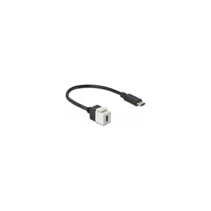 Delock Keystone Modul USB 5 Gbps Type-CTM Buchse zu USB Type-CTM Stecker mit Kabel 25 cm — image 1