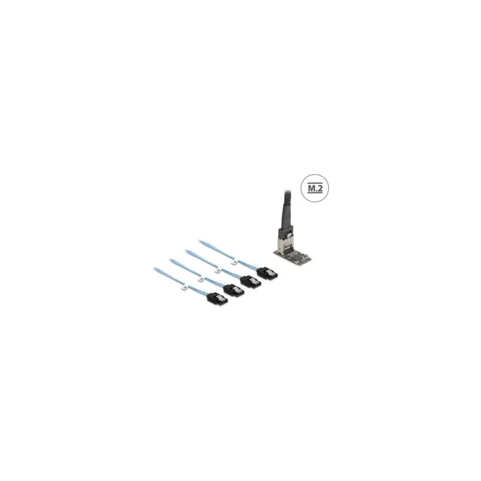 Delock M.2 2242 Key B+M Kontroller zu 4 x SATA mit 1 m Kabel — image 1