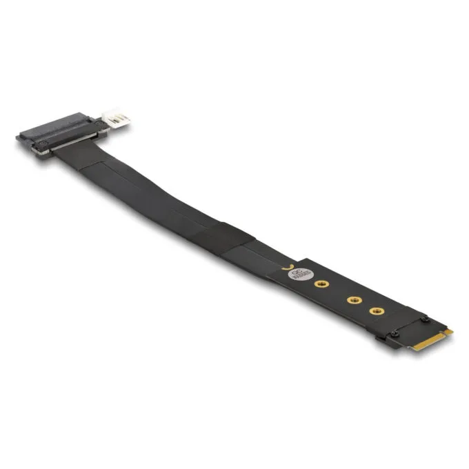 Delock M.2 Key M zu U.2 SFF-8639 NVMe Adapter mit 20 cm Kabel — image 2