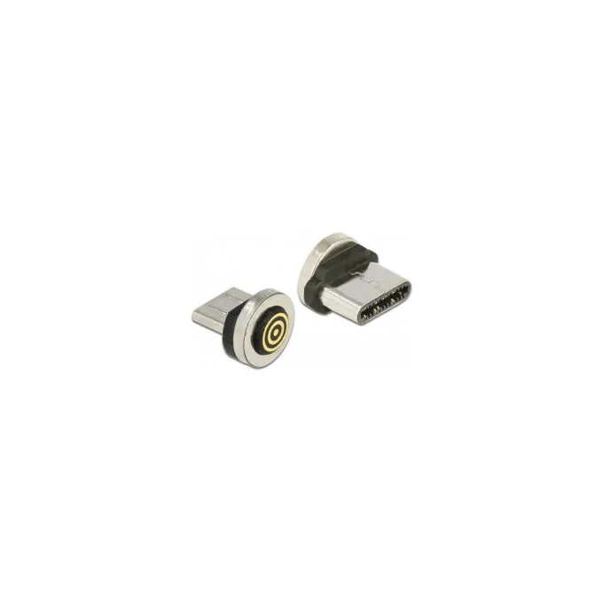 Delock Magnetischer Adapter USB Type-CTM Stecker — image 1