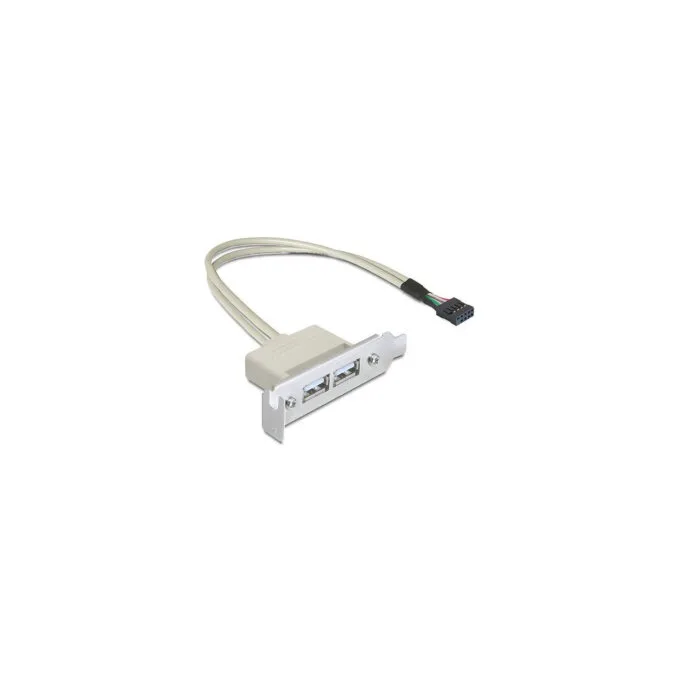 Delock Slot bracket - USB-Kabel - USB (W) bis 9-poliger USB-Header — image 1