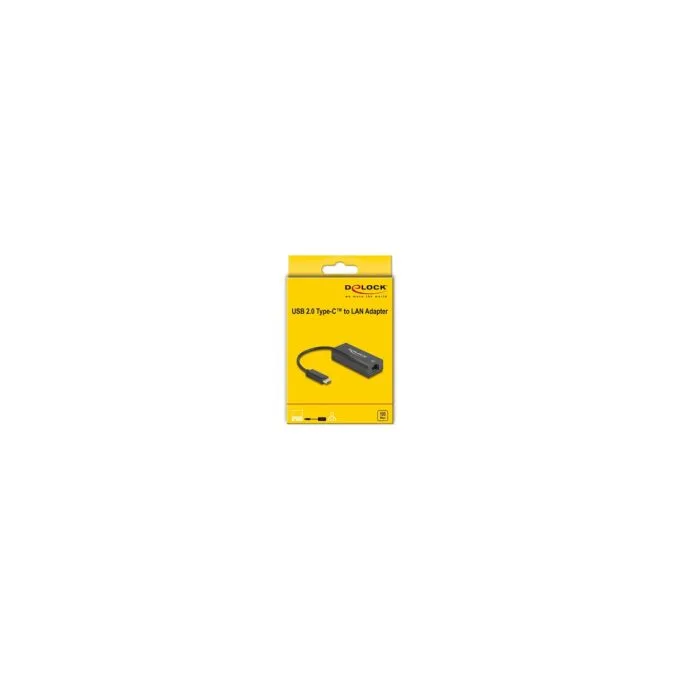 Delock USB 2.0 Type-C Adapter zu 10 100 Mbps LAN — image 2