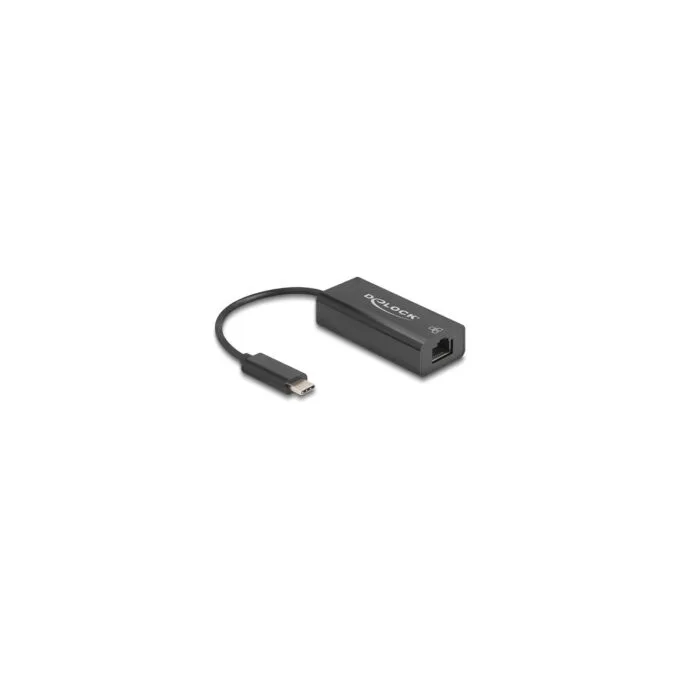 Delock USB 2.0 Type-C Adapter zu 10 100 Mbps LAN — image 1