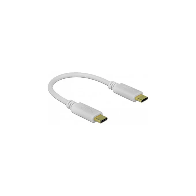 Delock USB Type-CTM Ladekabel 15 cm PD 100 W mit E-Marker — image 1