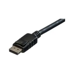 DisplayPort (ST - ST) 10m ROLINE