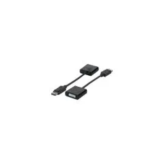 EFB DisplayPort Adapter,DP Stecker- to DVI 24+5 Buchse