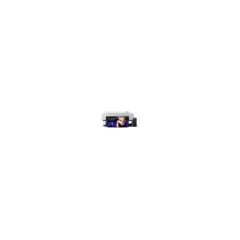 EPSON SureColor SC-P20500 Ink-Bundle 162.56cm. 64''. 12 Farben