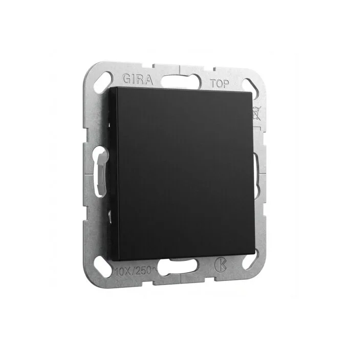 GIRA 0268005 Blindabd. Tragring System 55 Schwarz — image 1