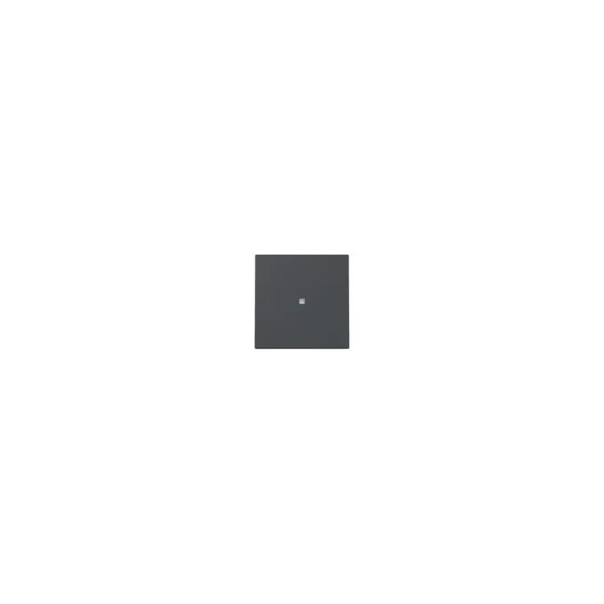 GIRA 329028 Wippe Kontrollf. System 55 Anthrazit — image 1