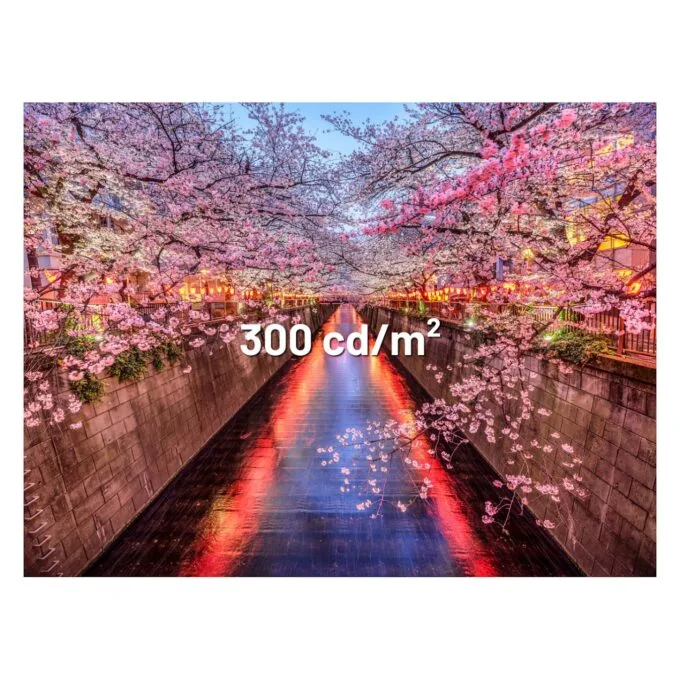 JapanNext FHD Gaming Monitor 60,45cm — image 12