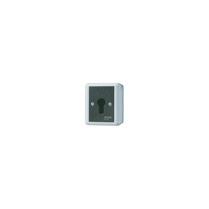 Jung 806.28 G AP WD-Schlüsselschalter 2p Wechsel- — image 1