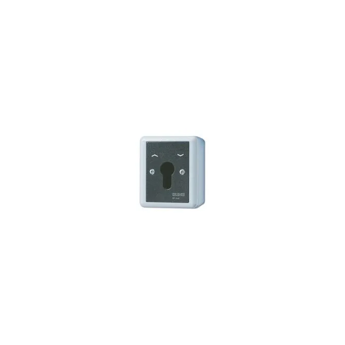 Jung 834.28 G AP WD-Schlüsselschalter 2p Wende — image 1