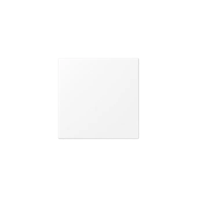 Jung LS994BWWM Blind-Abdeckung — image 1
