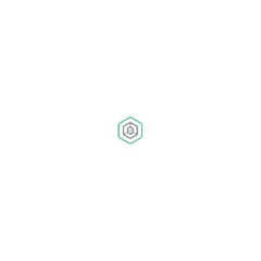 Kaspersky Small Office Security - 8 User. 2 Years - Base - ESD-Download