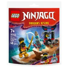 LEGO 30700 Ninjago Arins Duell mit dem Drachenmenschen