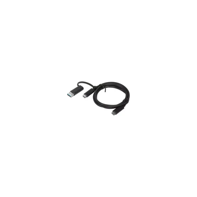 Lenovo 24 pin USB-C to 24 pin USB-C 1m Kabel Schwarz — image 1