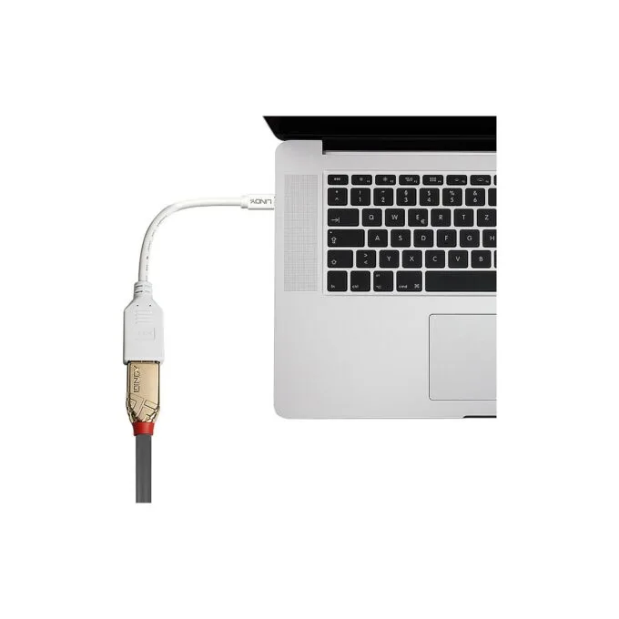 LINDY Mini-DisplayPort an Displayport Adapterkabel M F 0.15m — image 3