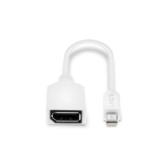 LINDY Mini-DisplayPort an Displayport Adapterkabel M F 0.15m — image 4
