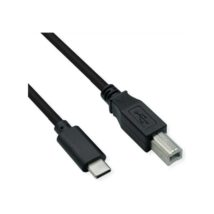 ROLINE USB2.0 KABEL TYP C-B 3M — image 1