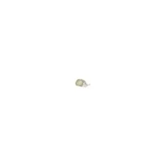 Synergy 21 LED Bodeneinbaustrahler ARGOS rund IP54 RGB