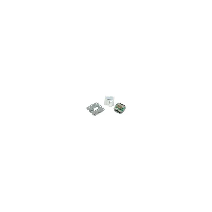 Telegärtner Dose AMJ45 UP 50 2 x RJ-45 Kat.6 Class E alpinweiss — image 1