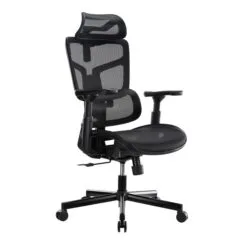 Lumivida Office Chair Ergonomic Mesh Lumbar Support Adjustable Seat/Armrest Black CH10-10