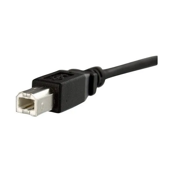 StarTech.com USBPNLBFBM3 USB cable — image 3