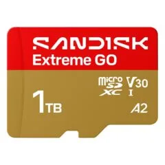 SanDisk Extreme GO
