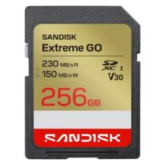 SanDisk Extreme GO