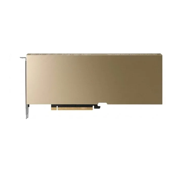 PNY Quadro RTX PRO 4500 Blackwell Server Edition 32GB GDDR7 — image 1
