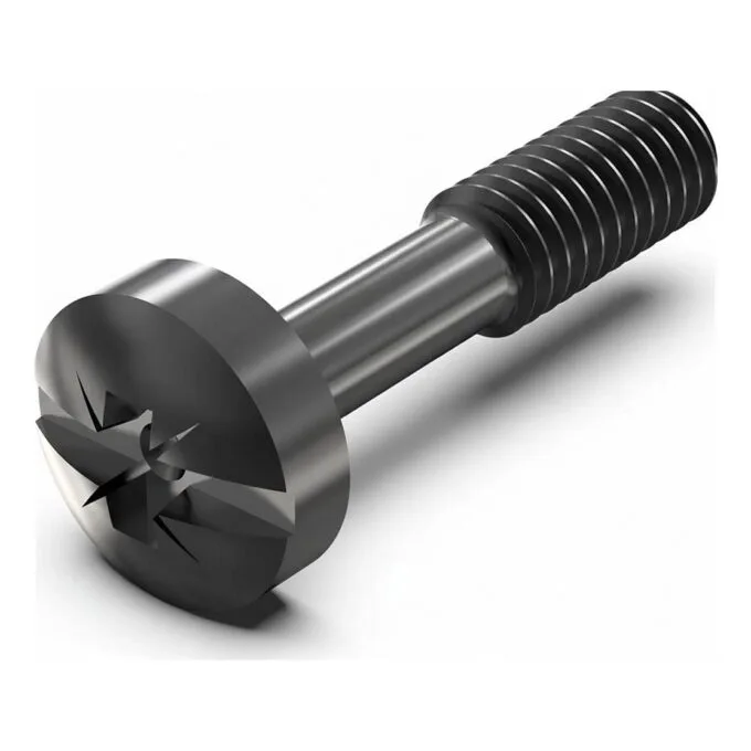 SCHROFF neck screw with cross-slot/slot - HALSSCHR.M.KR.M2.5 SCHW100S — image 1