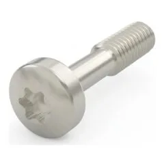 SCHROFF Neck screw with Torx - Neck screw.12.3 TORX NI 100ST