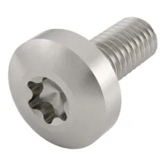 SCHROFF Linsenkopfschraube mit Torx - NTS TORXSCHR M4X14 (100STK)