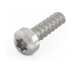 SCHROFF lens head screw with Torx - LIKOSCHR-TORX.2.5X9.3 100ST