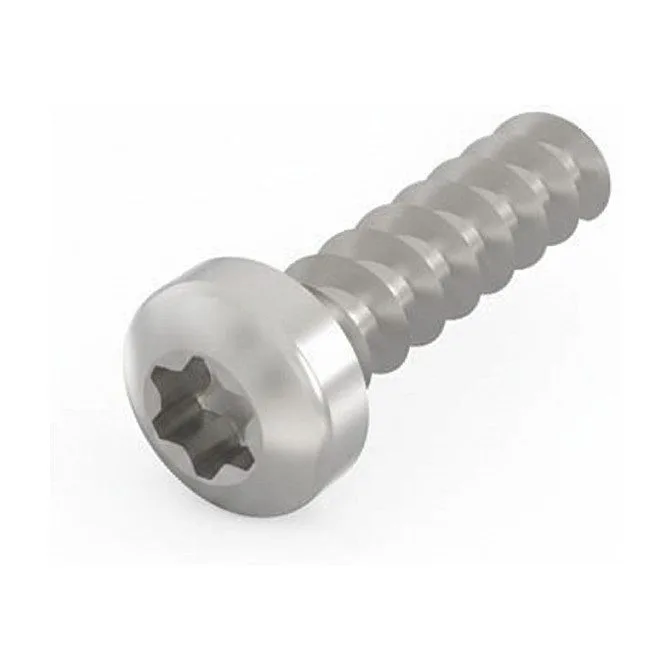 SCHROFF lens head screw with Torx - LIKOSCHR-TORX.2.5X9.3 100ST — image 1