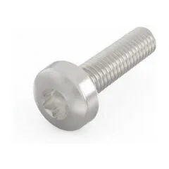 SCHROFF lens head screw with Torx - TORX-LINSKOSCHR 2.5X10 100ST