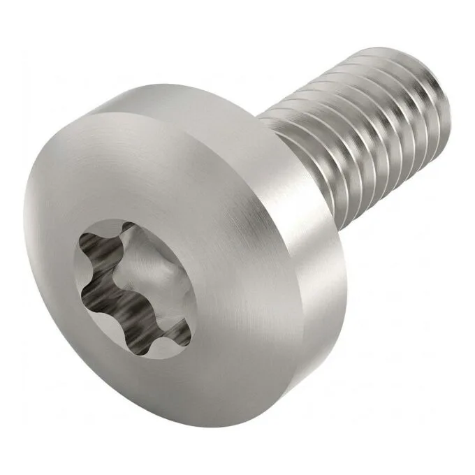 SCHROFF lens head screw with Torx - TORX-LINSKOSCHR M4X10 100ST — image 1
