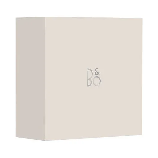 Bang & Olufsen BeoSound A1 3rd Gen — image 7